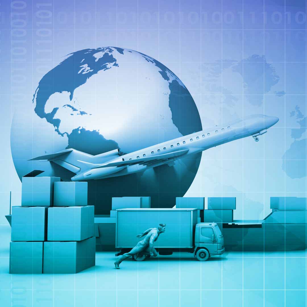 management de la supply chain